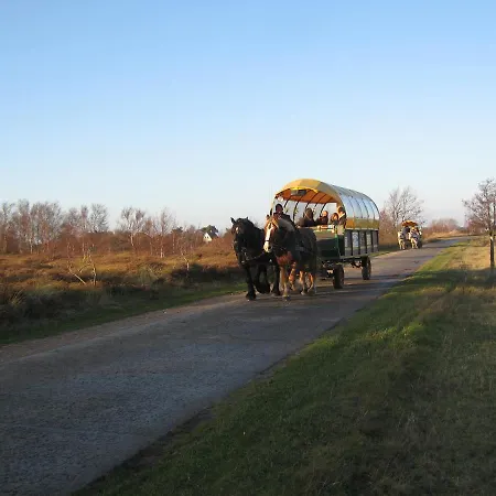 Seestern Appartement *